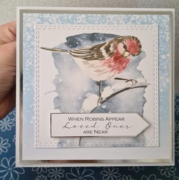Watercolour Winter Robin handmade christmas card