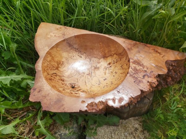 Large burl bowl sitting in grass