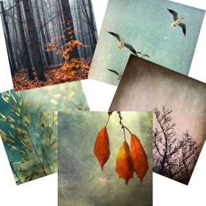 Pack of assorted greeting cards
